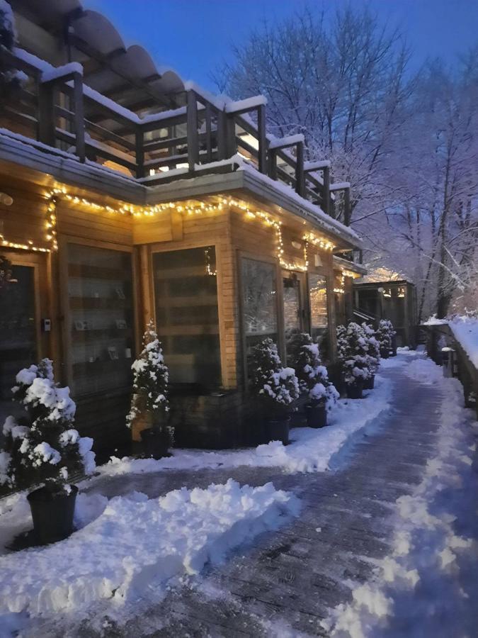 مبيت وإفطار براشوف Skay Loft المظهر الخارجي الصورة