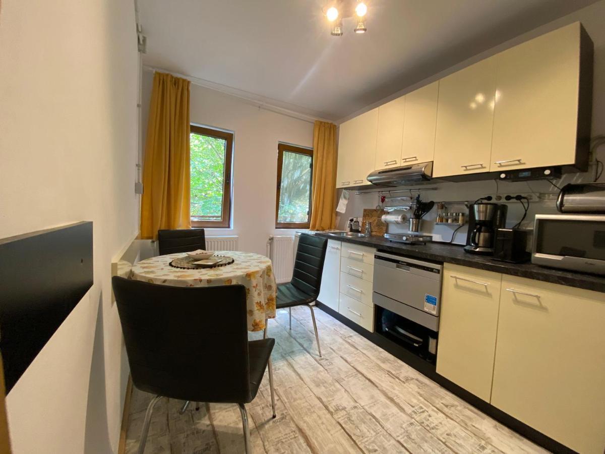 مبيت وإفطار براشوف Skay Loft المظهر الخارجي الصورة