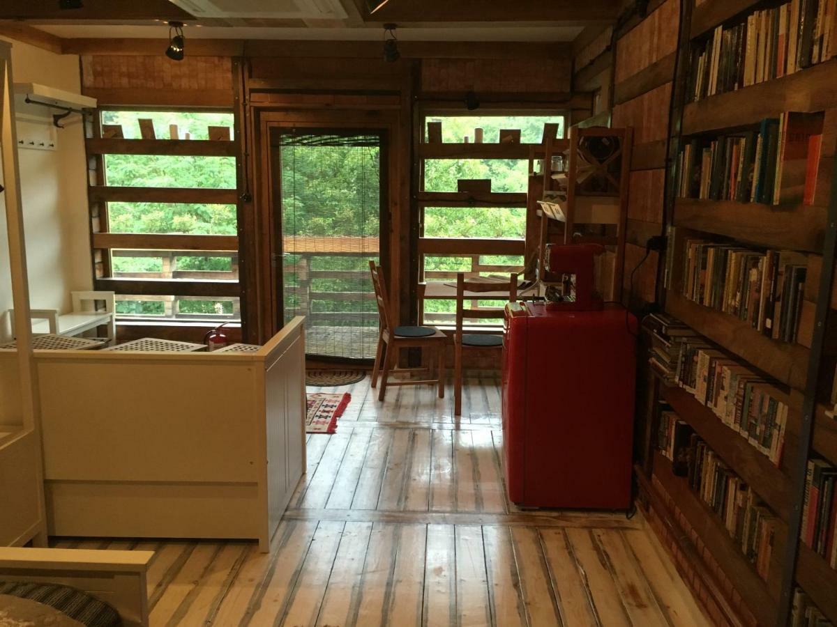 مبيت وإفطار براشوف Skay Loft المظهر الخارجي الصورة